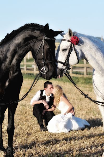 Wedding photographer Pablo Montero (montero). Photo of 23 October 2014