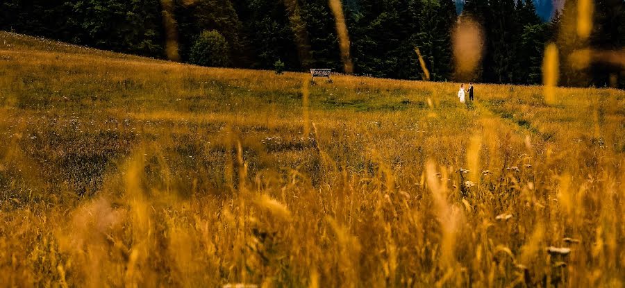 Bryllupsfotograf Andy Casota (casotaandy). Foto fra maj 18 2020