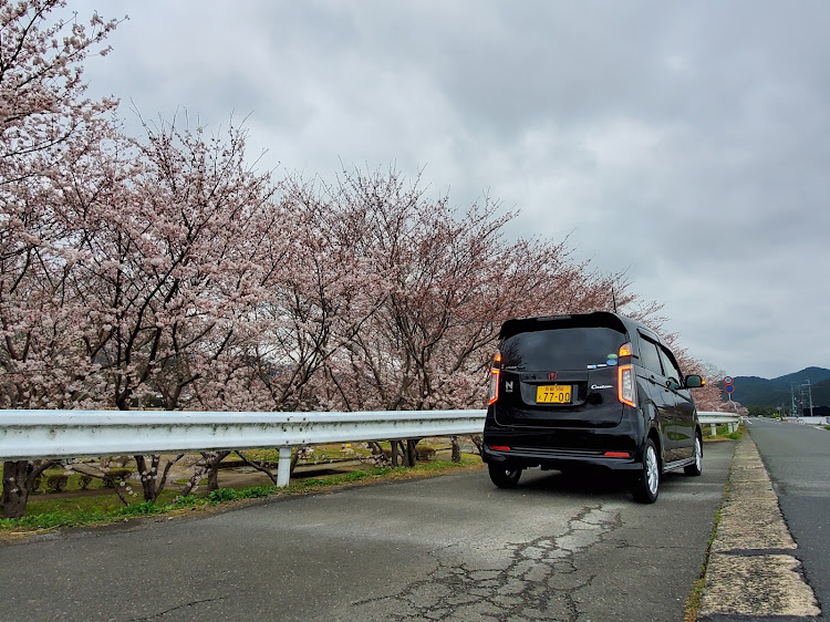 N-WGN カスタムの京都府・京丹波町・南丹市・八木町・園部町・亀岡市・桜探し！！・愛車と桜・戦争反対❌・コロナに負けるなに関するカスタム事例の投稿画像3枚目