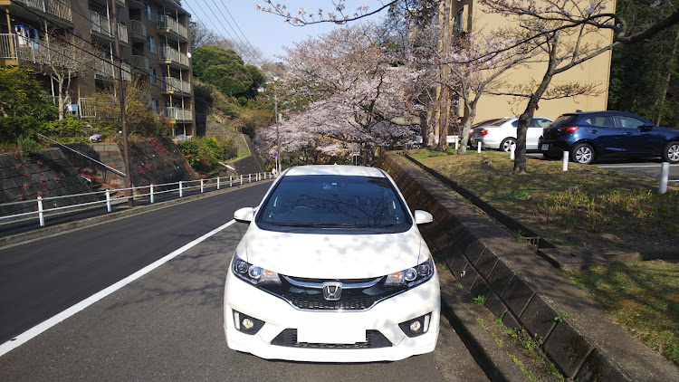 フィットの平成最後の写真に関するカスタム事例の投稿画像2枚目
