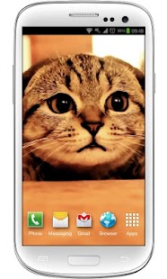 How to download Cute Cat Scared Live Wallpaper patch 1.0 apk for android