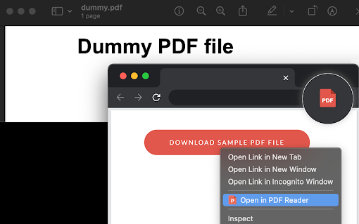 Open in PDF Reader