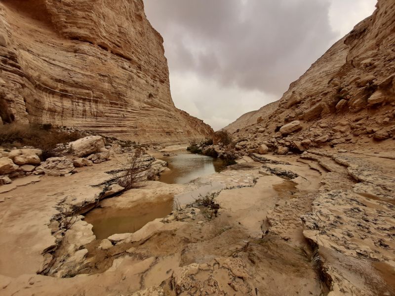 10 дней в Израиле в феврале: история, природа, отдых