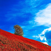 Colori d'autunno di 