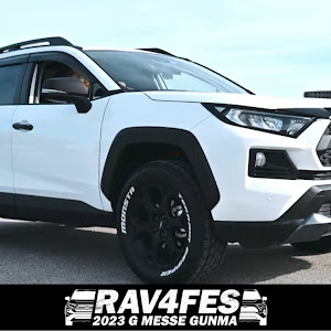 RAV4 MXAA54