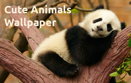 Cute Animals Wallpaper small promo image