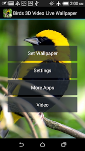 Birds 3D Video Live Wallpaper screenshot 3