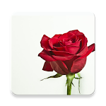 Flower Photo+ Apk