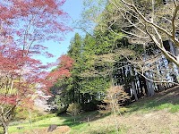 偕楽園 もみじ谷