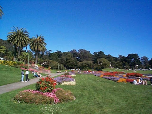 Photo Golden Gate Park