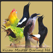 Kicau Master Burung Hd 1.1 Icon