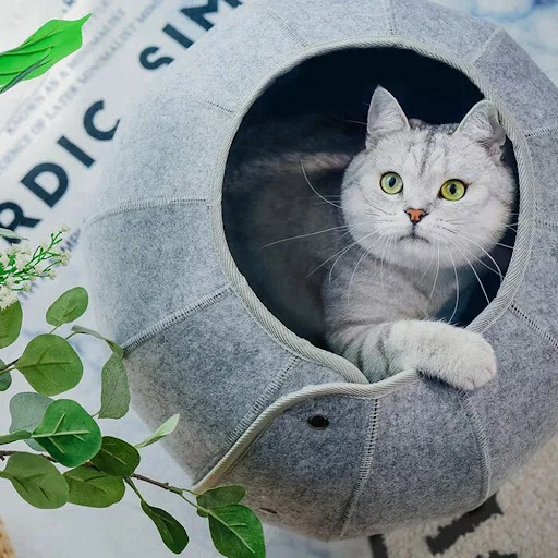 Cute Shell Cat Bed House Indoor, Cat Toys Ball Interactive Soft Cat Cave & Foldable Pet Tunnel Tube Condos Fun Toy Bed f