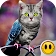 Simulateur Morph animale icon