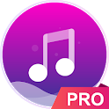 Music player - pro version