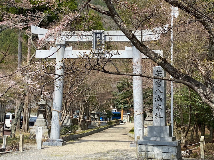 の投稿画像19枚目