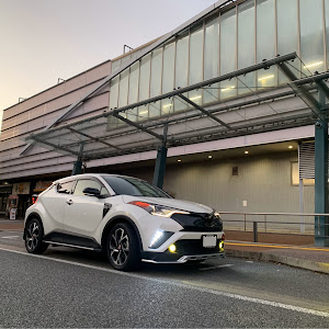 C-HR ZYX10