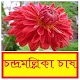 Download চন্দ্রমল্লিকা ফুল চাষ পদ্ধতি ~ Chrysanthemum For PC Windows and Mac 1.0