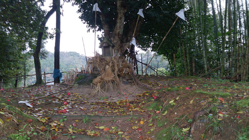 磐坂神社 祠