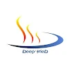 Deep Fried, Sinhgad Road, Pune logo