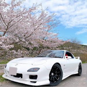 RX-7 FD3S 後期