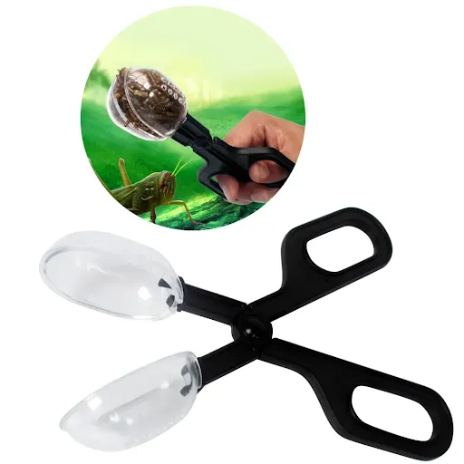 Plant Tools Pet Biology Terrarium Raising Study Insect School Lizards Plastic Tweezers Reptile Clip Feeding Tongs