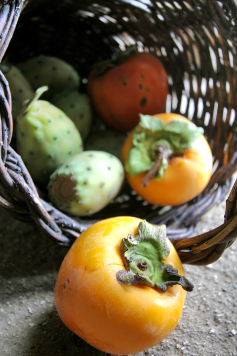 Colori Siciliani... di SalvoA