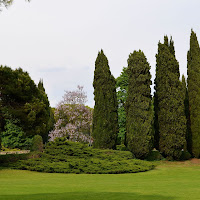 Giardino d'incanto di 