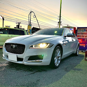 XF