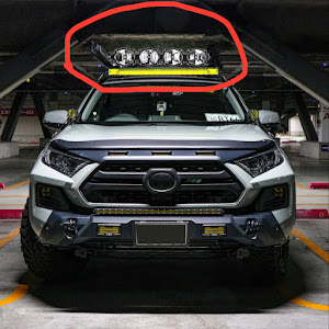 RAV4 MXAA54