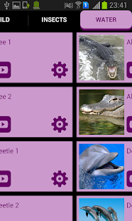 Animal Sounds & Ringtones(圖6)-速報App