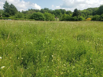 terrain à Le Châtenet-en-Dognon (87)