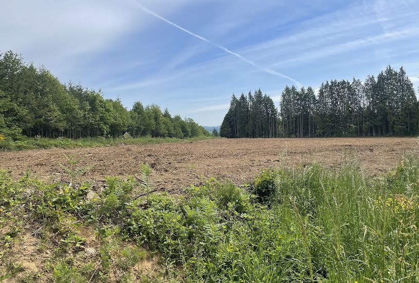  Vente Terrain à bâtir - à Royères (87400) 