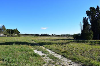 terrain à Domazan (30)