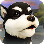 Cover Image of Download Puppies! Dogs and Cats Game 1.3.0 APK