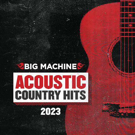 Wasting All These Tears (Acoustic Version)