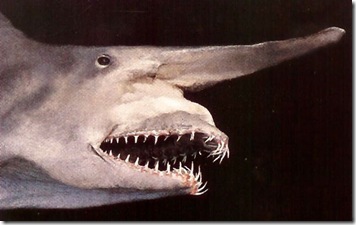 goblin_1