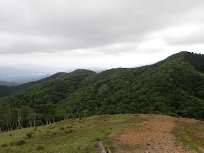 登山道に合流