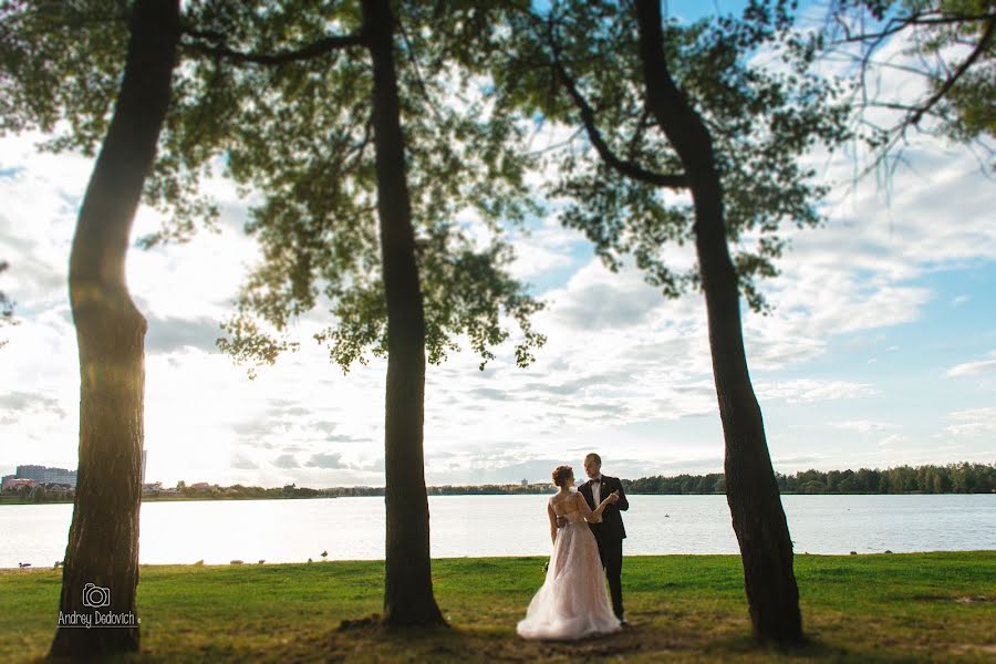 Wedding photographer Andrey Dedovich (dedovich). Photo of 15 November 2016