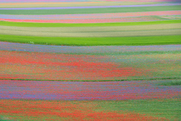 La magia di Castelluccio di Norcia di Peter_Sossi