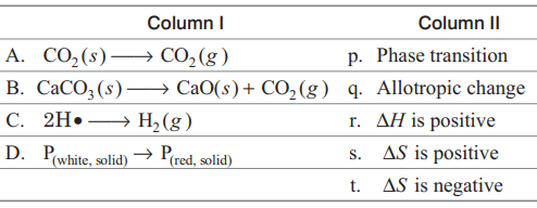 Gibbs Free Energy