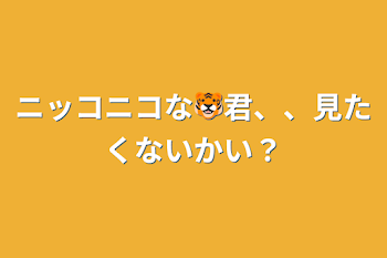 ニッコニコな🐯君、、見たくないかい？