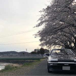 スプリンタートレノ AE86