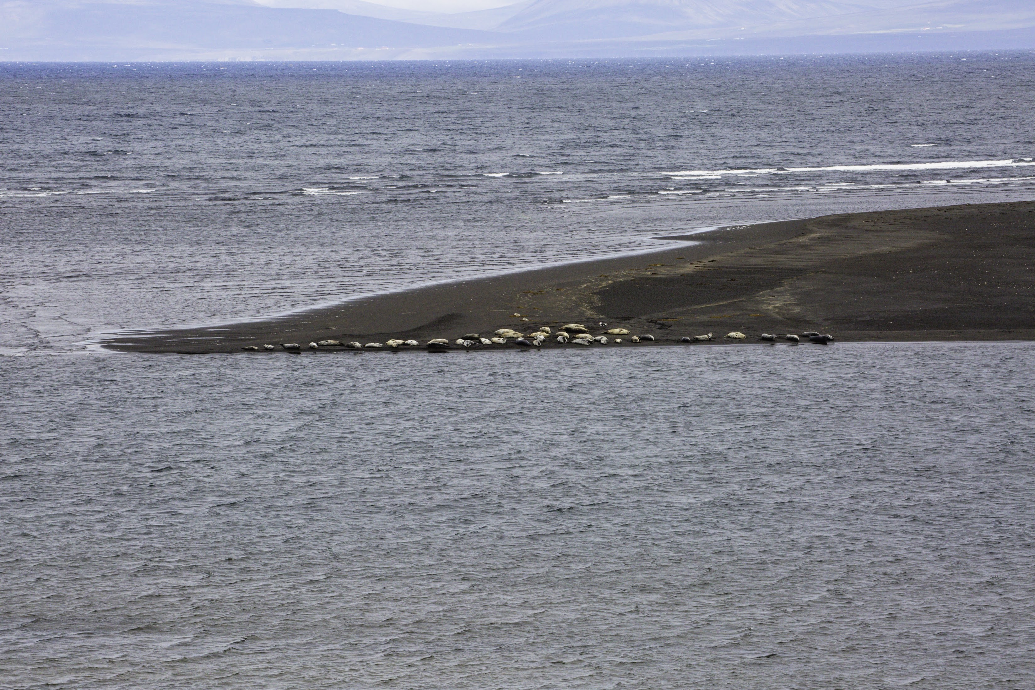 Исландия - родина слонов (архипелаг Vestmannaeyjar, юг, север, запад и Центр Пустоты)