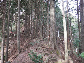 尾根合流手前