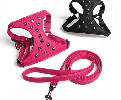 Title 6, Adjustable Dog Camisole and Stylish Studded Lea...