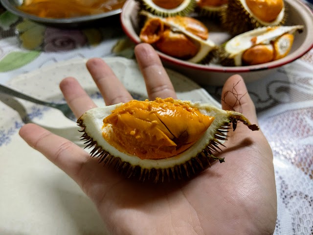 Dalit Durian