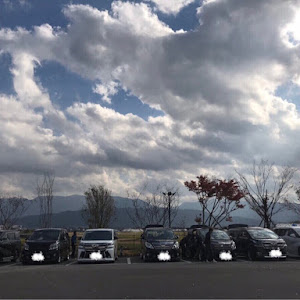 アルファード ANH20W