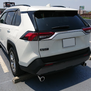 RAV4 MXAA54