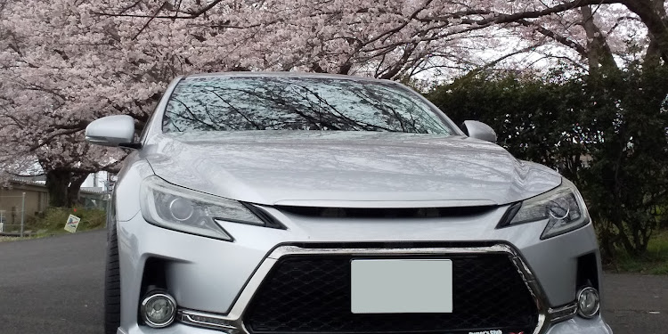 マークX G'sの桜とコラボ🌸に関するカスタム事例の投稿画像2枚目