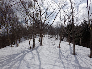 気持ちのよい尾根が続く